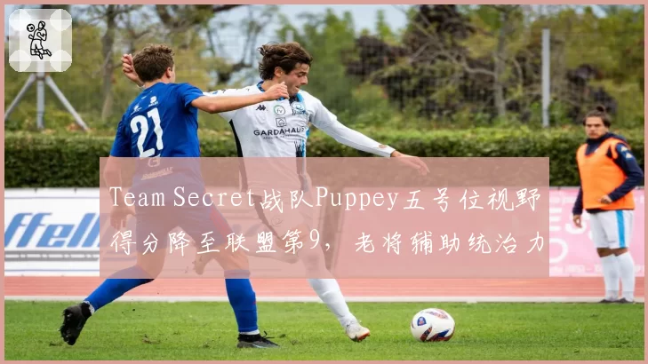Team Secret战队Puppey五号位视野得分降至联盟第9，老将辅助统治力不再